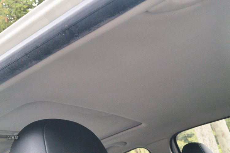Volkswagen Lavida 2016 car image #20