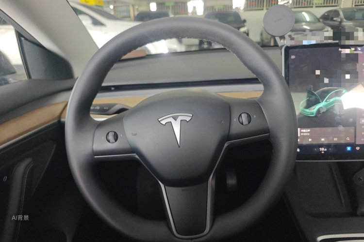 Tesla Model 3 2021 car image #12