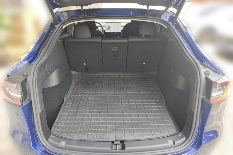 Tesla Model Y 2021 car image #21