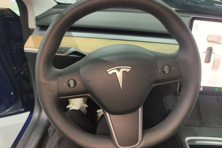 Tesla Model 3 2021 #11 Tesla Model 3 2021 car image #11