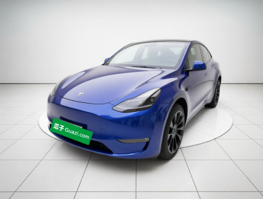 Tesla Model Y 2021 car image 