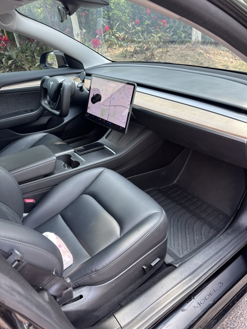 Tesla Model 3 2021 car image #4