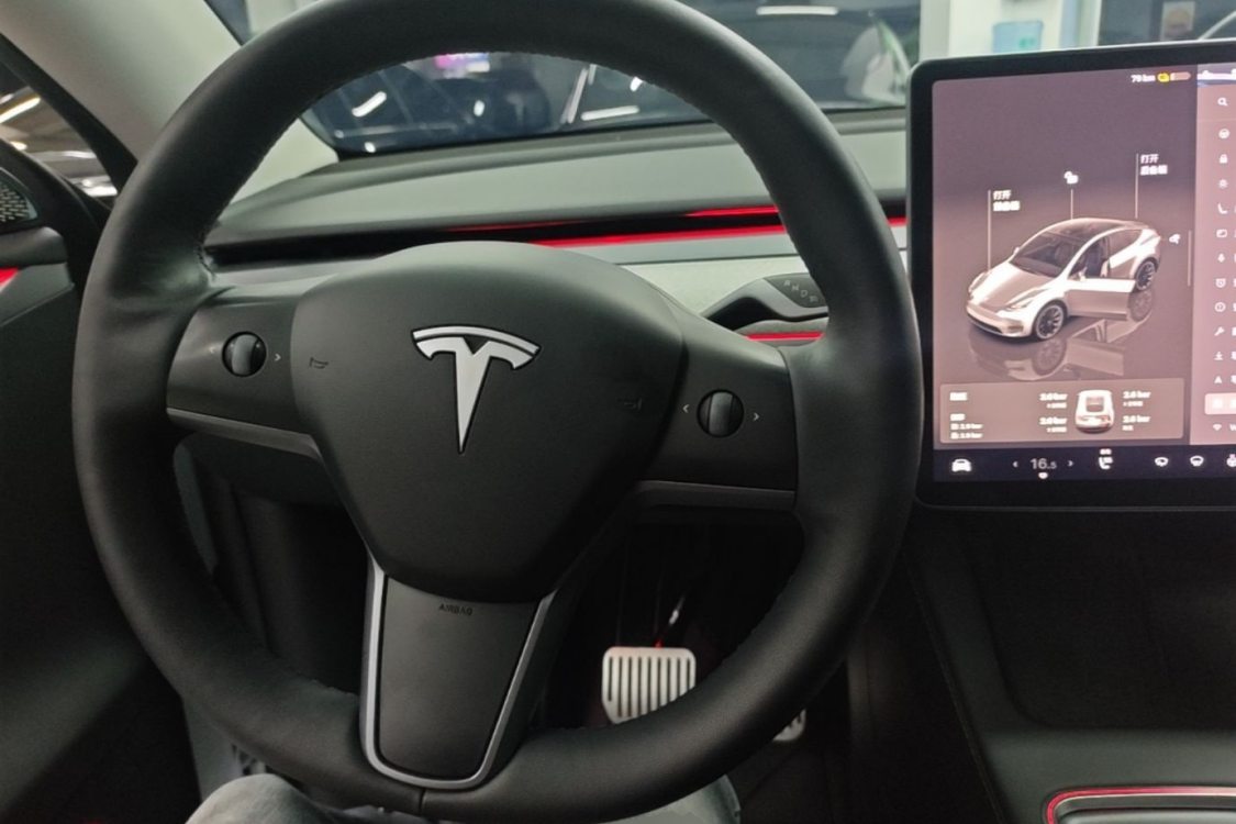 Tesla Model Y 2024 car image #16