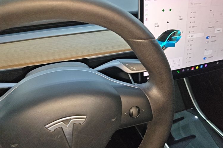 Tesla Model 3 2020 #14 Tesla Model 3 2020 car image #14