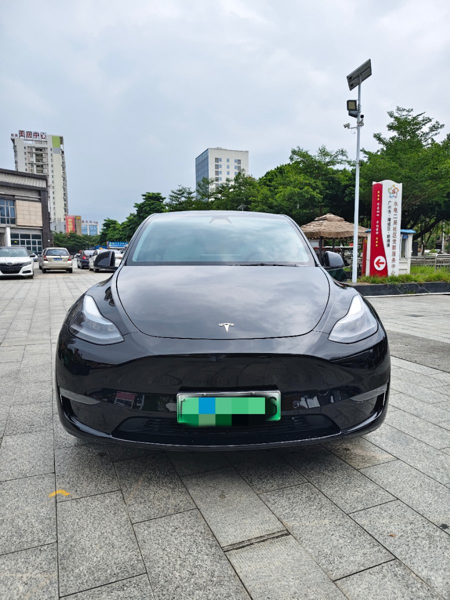 Tesla Model Y 2021 Tesla Model Y 2021 car image