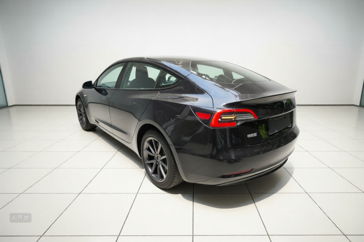 Tesla Model 3 2021 car image #5