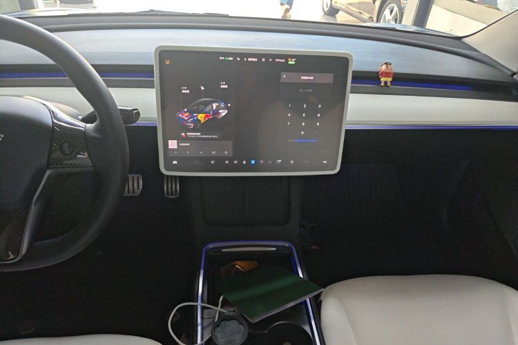 Tesla Model 3 2021 #13 Tesla Model 3 2021 immagine di auto #13