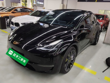Tesla Model Y 2023 Tesla Model Y 2023 car image