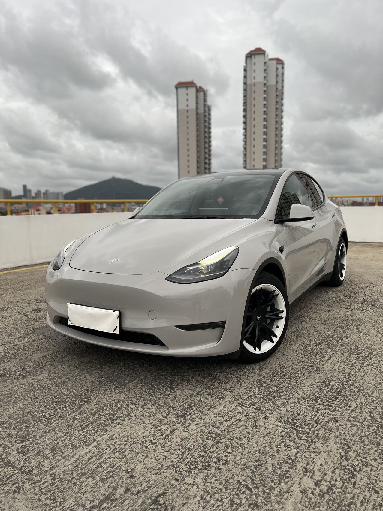 Tesla Model Y 2021 Tesla Model Y 2021 car image