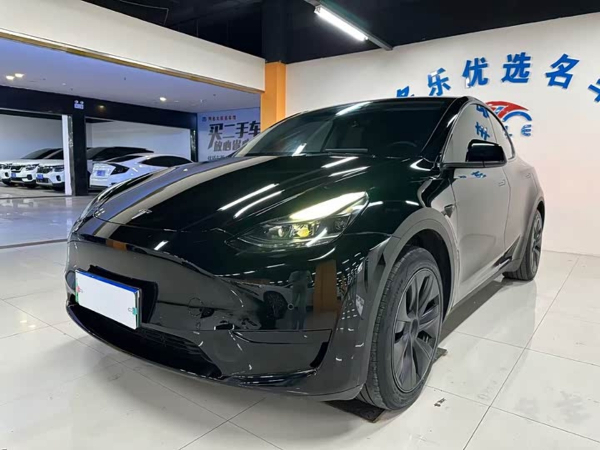 Tesla Model Y 2023 Tesla Model Y 2023 car image