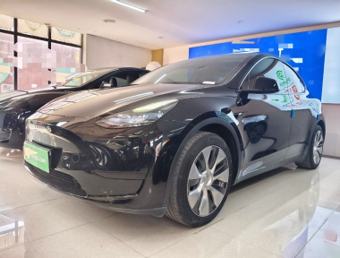 Tesla Model Y 2022 immagine di auto 