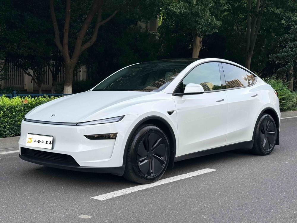 Tesla Model Y 2025 car image 