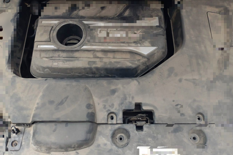 GEELY Emgrand GS 2019 car image #22