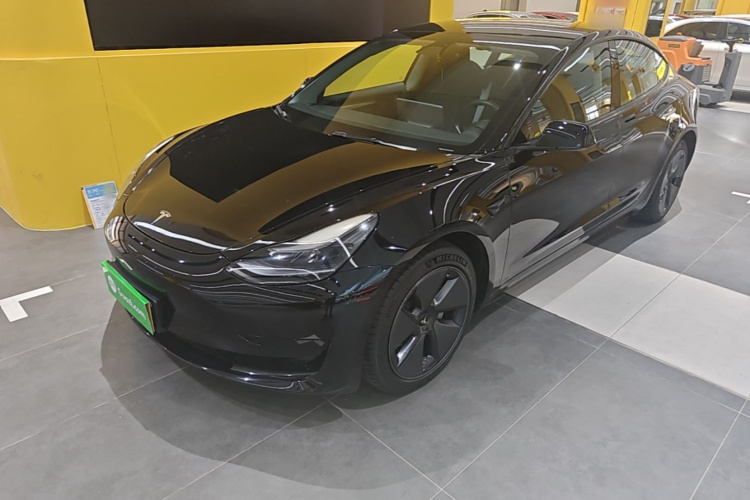 Tesla Model 3 2021 #2 Tesla Model 3 2021 immagine di auto #2