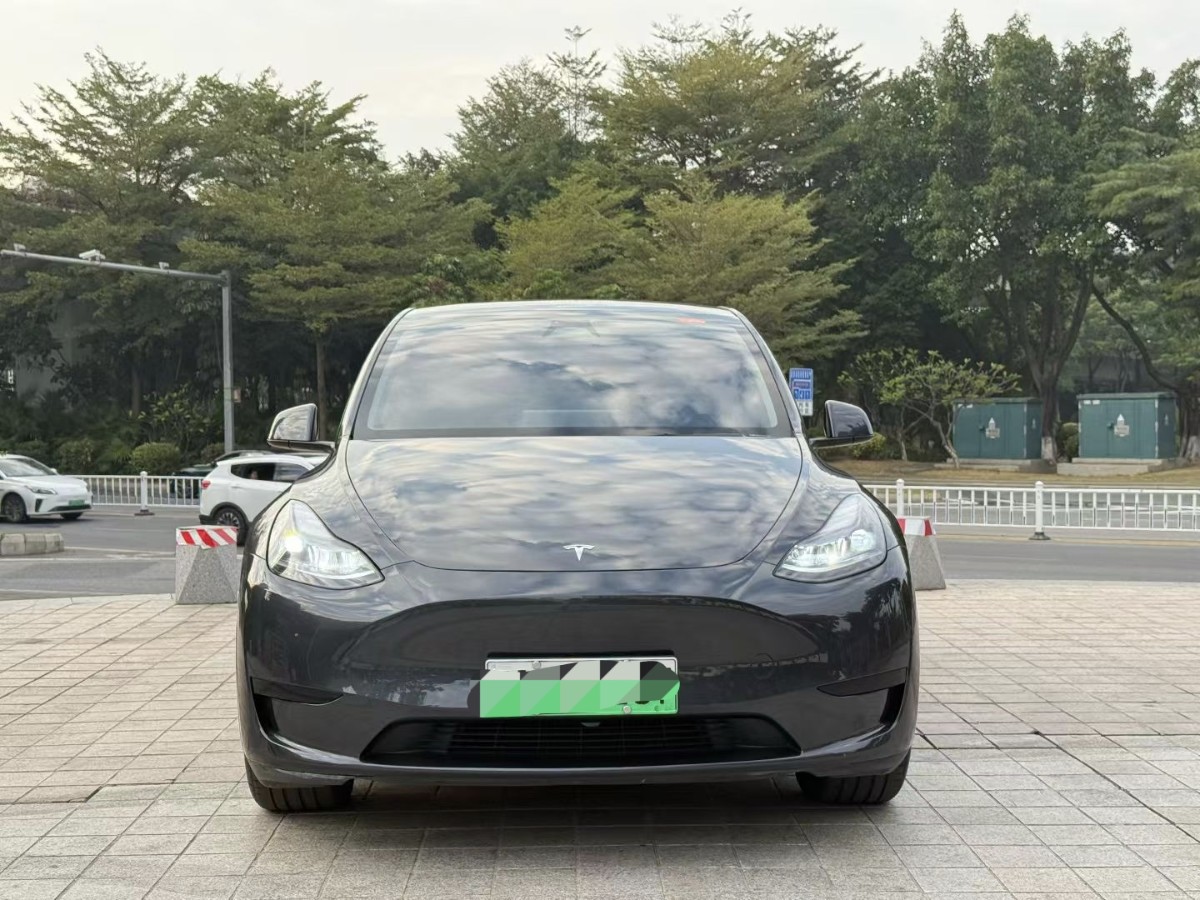 Tesla Model Y 2024 car image #2