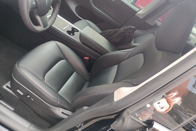 Tesla Model Y 2023 #15 Tesla Model Y 2023 car image #15