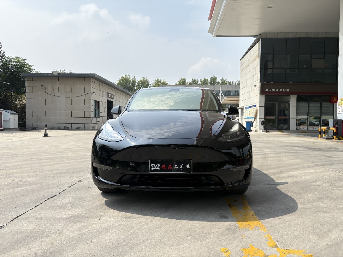 Tesla Model Y 2021 car image #2