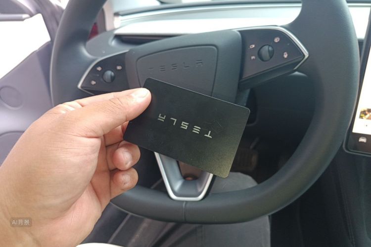 Tesla Model 3 2024 car image #10