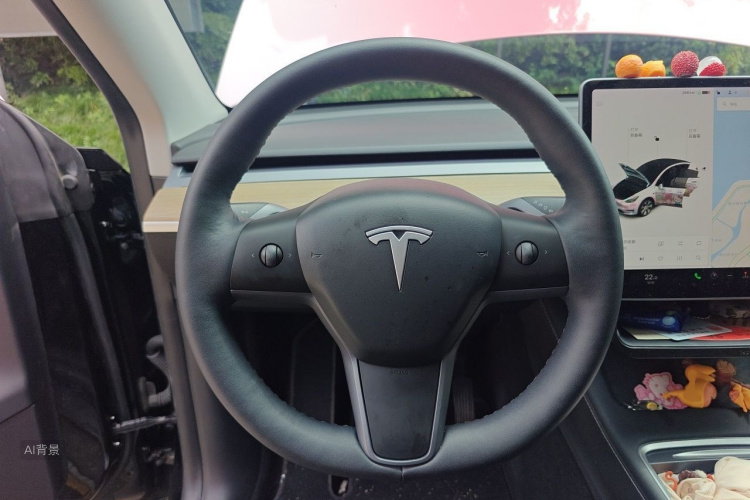 Tesla Model Y 2021 #12 Tesla Model Y 2021 car image #12