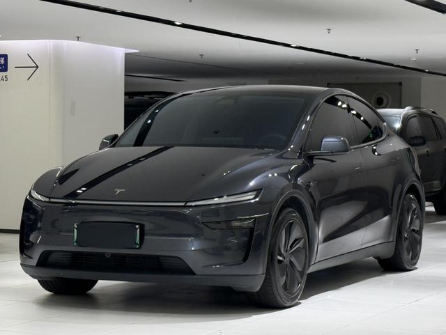 Tesla Model Y 2025 #19 Tesla Model Y 2025 car image #19