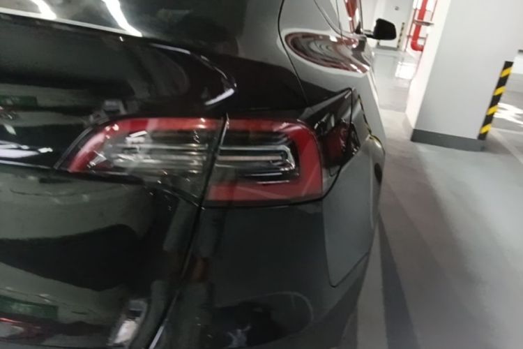 Tesla Model Y 2021 #8 Tesla Model Y 2021 car image #8