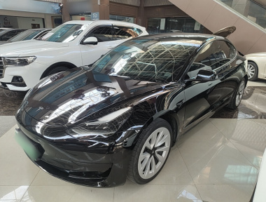 Tesla Model 3 2021 Tesla Model 3 2021 car image