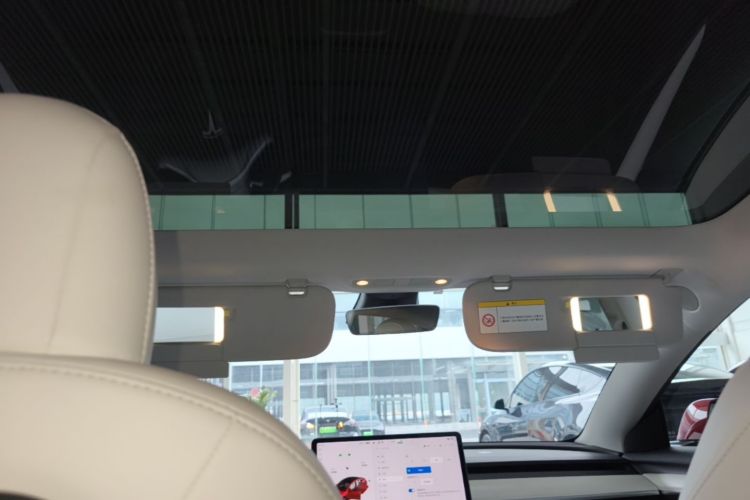 Tesla Model 3 2021 immagine di auto #18