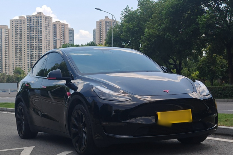 Tesla Model Y 2021 #10 Tesla Model Y 2021 car image #10