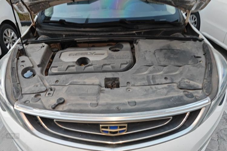 GEELY Emgrand GS 2016 imagem de carro #22
