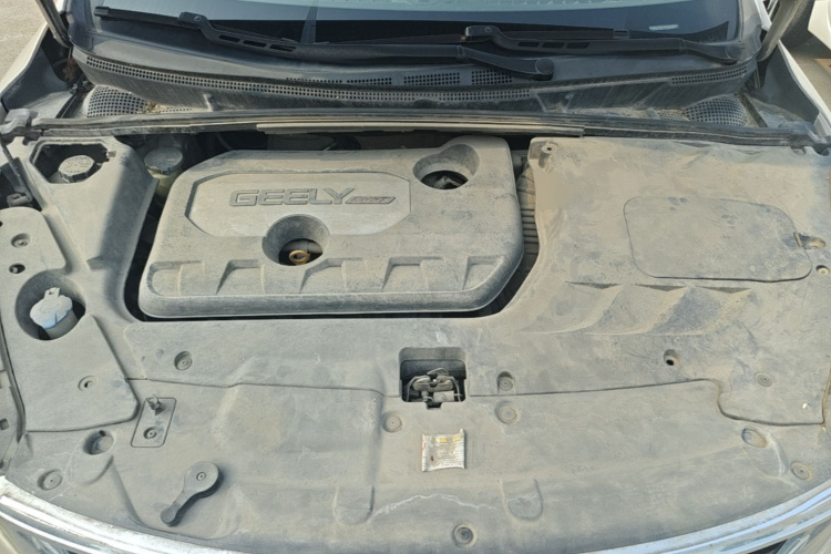 GEELY Emgrand GS 2017 imagem de carro #20