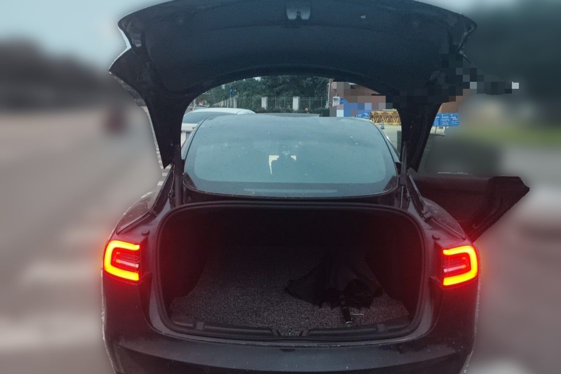 Tesla Model 3 2021 #8 Tesla Model 3 2021 imagen de coche #8