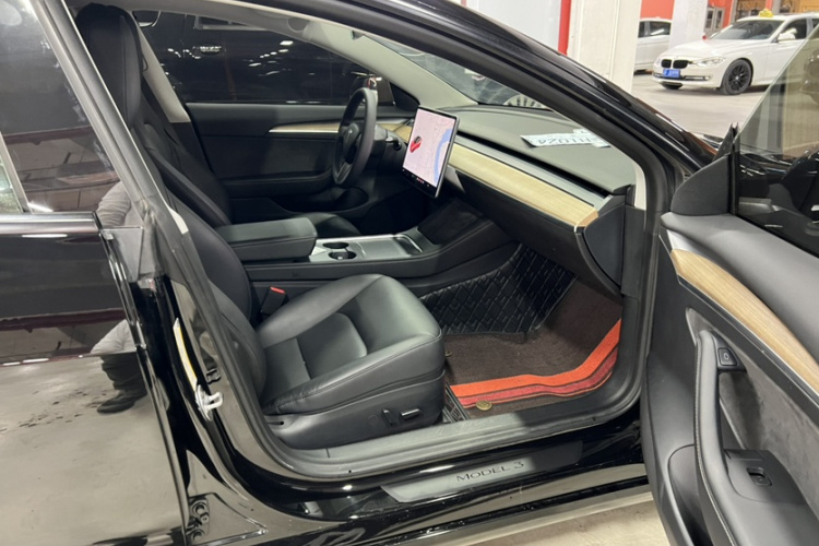 Tesla Model 3 2021 #12 Tesla Model 3 2021 car image #12