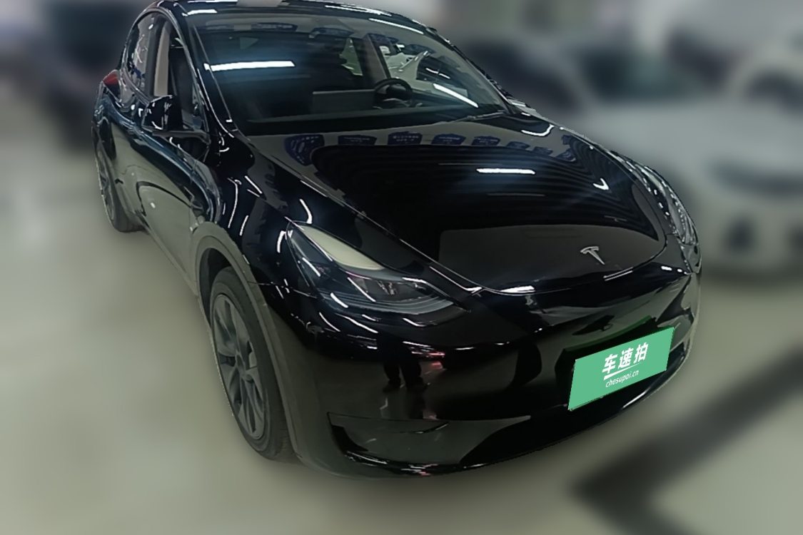 Tesla Model Y 2024 car image #2