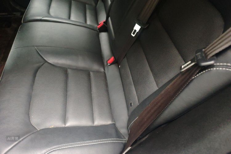 GEELY Emgrand GS 2016 car image #19