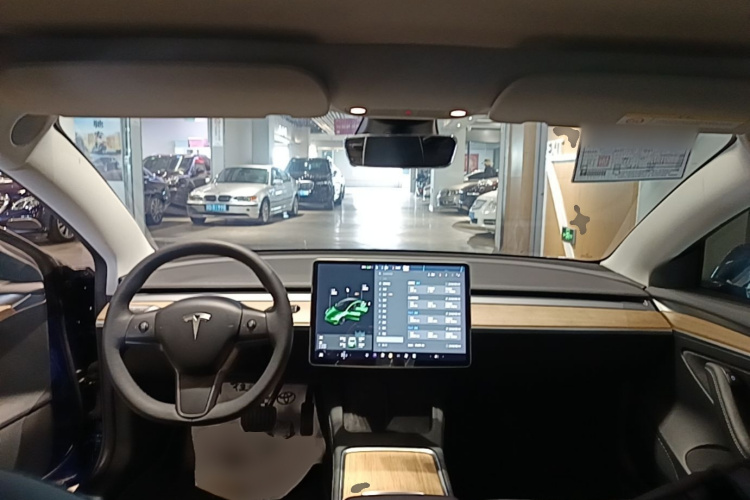 Tesla Model 3 2021 #10 Tesla Model 3 2021 car image #10