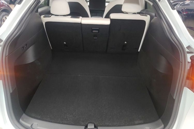 Tesla Model Y 2021 car image #21