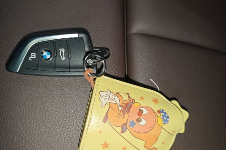 BMW X1 2020 car image #9