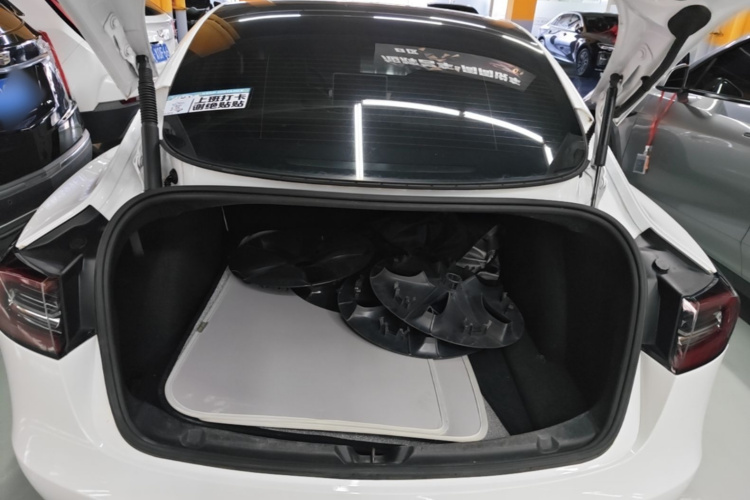 Tesla Model 3 2021 #19 Tesla Model 3 2021 immagine di auto #19