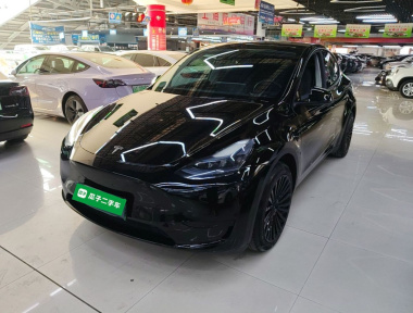 Tesla Model Y 2022 Tesla Model Y 2022 car image