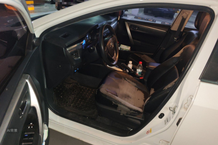 2016 #18 2016 car image #18