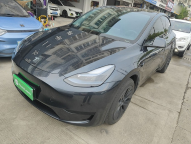 Tesla Model Y 2024 car image 