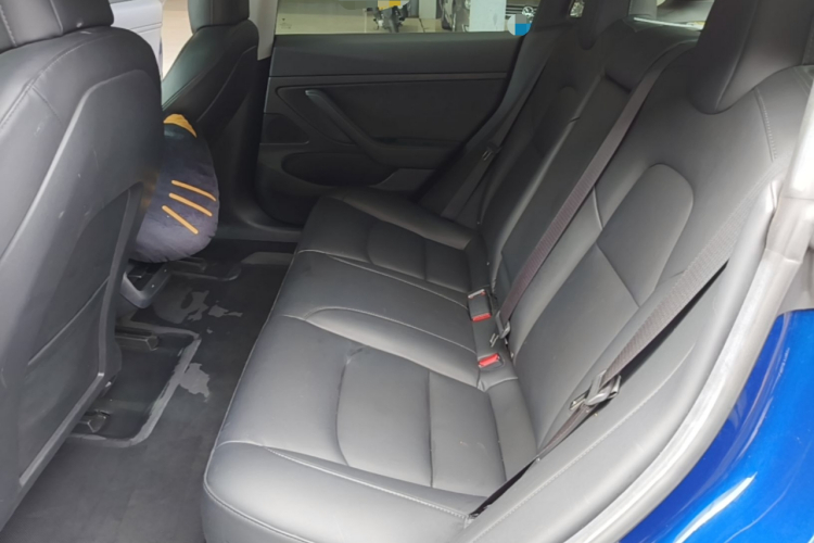 Tesla Model 3 2020 car image #13