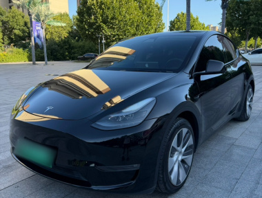 Tesla Model Y 2021 car image 
