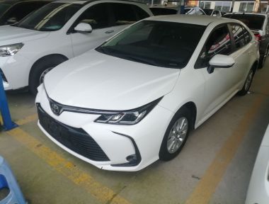 Toyota Corolla 2023 car image 
