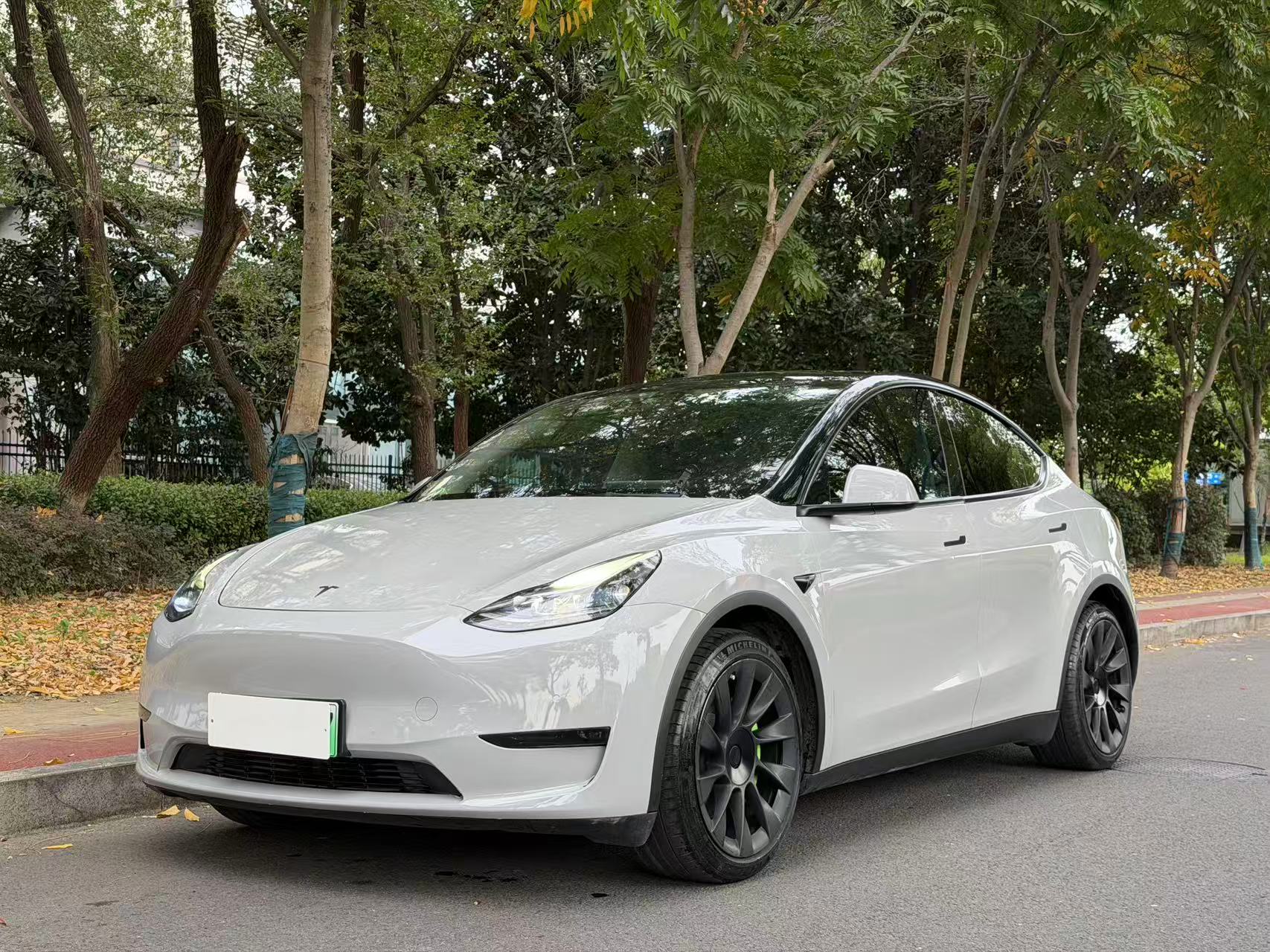 Tesla Model Y 2021 Tesla Model Y 2021 car image