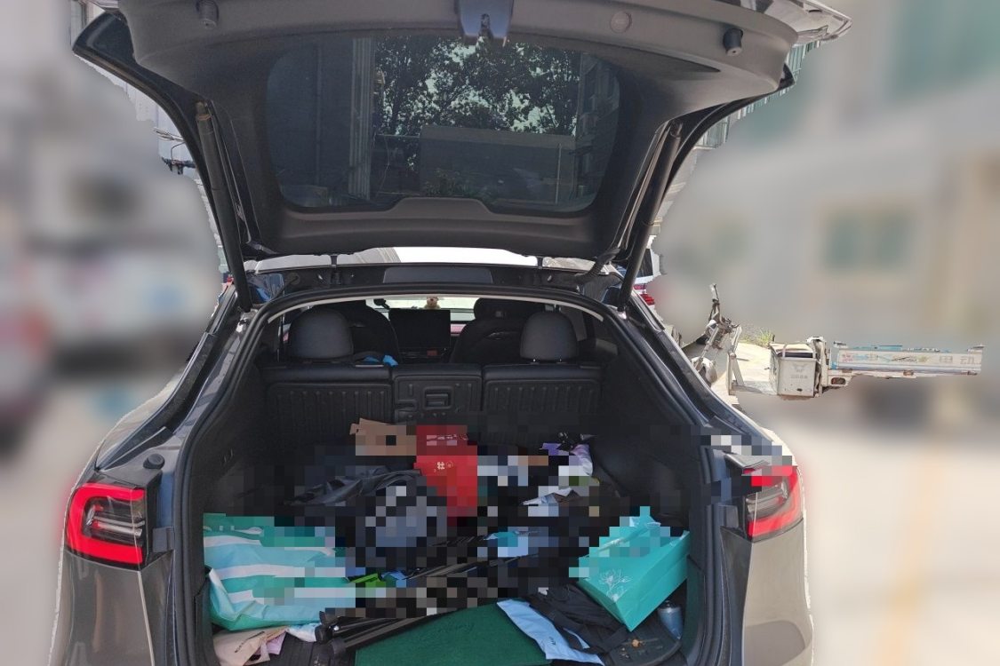 Tesla Model Y 2024 car image #8