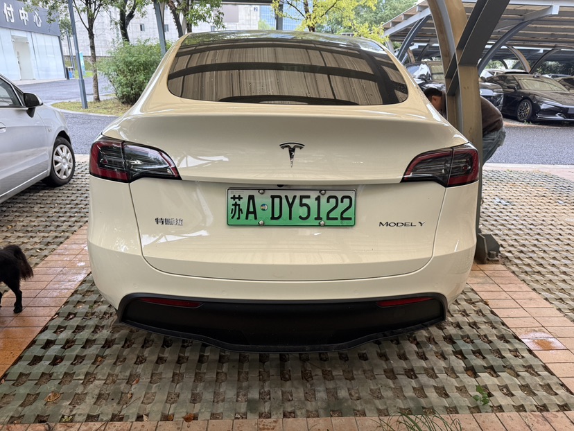 Tesla Model Y 2022 #7 Tesla Model Y 2022 imagen de coche #7