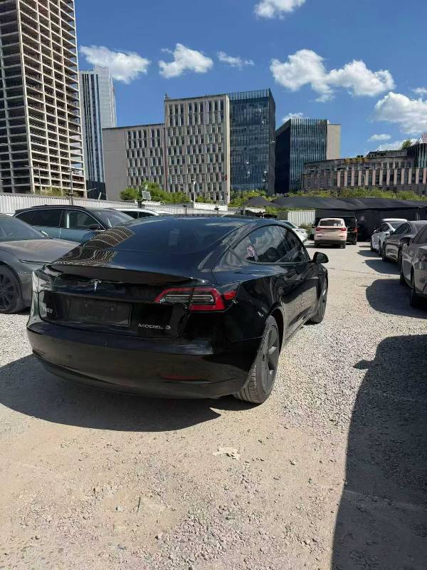 Tesla Model 3 2023 #6 Tesla Model 3 2023 immagine di auto #6