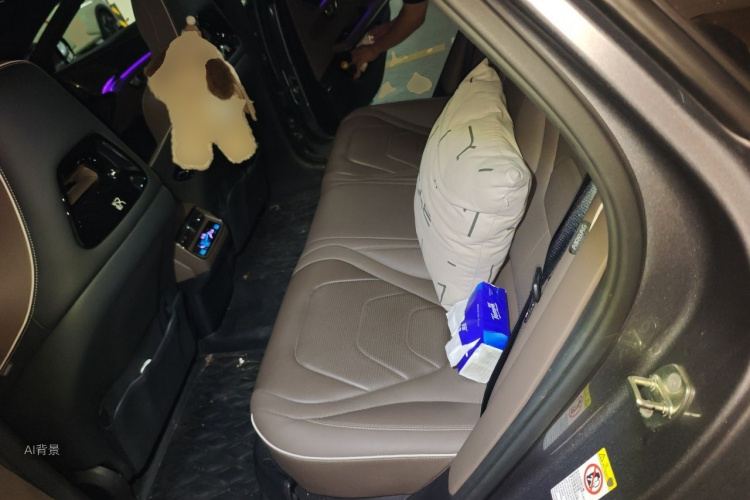 BYD Han 2022 car image #19