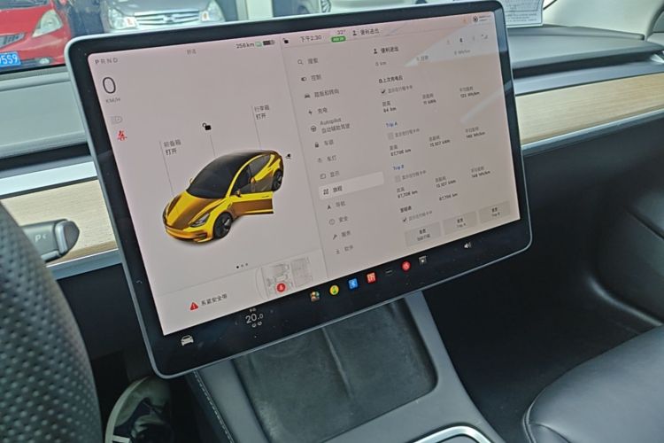 Tesla Model 3 2021 car image #13